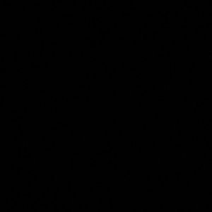 Meet your Posher, Sandy